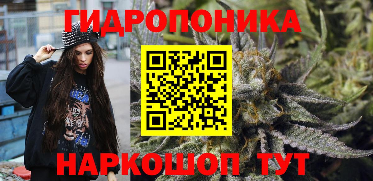Марихуана марихуана  Марихуана планчик  Тара  Вход с VPN 
